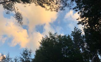 Lesley R.'s photo of a dispersed camping area at Last Creek Kayak Site near Finland, MN