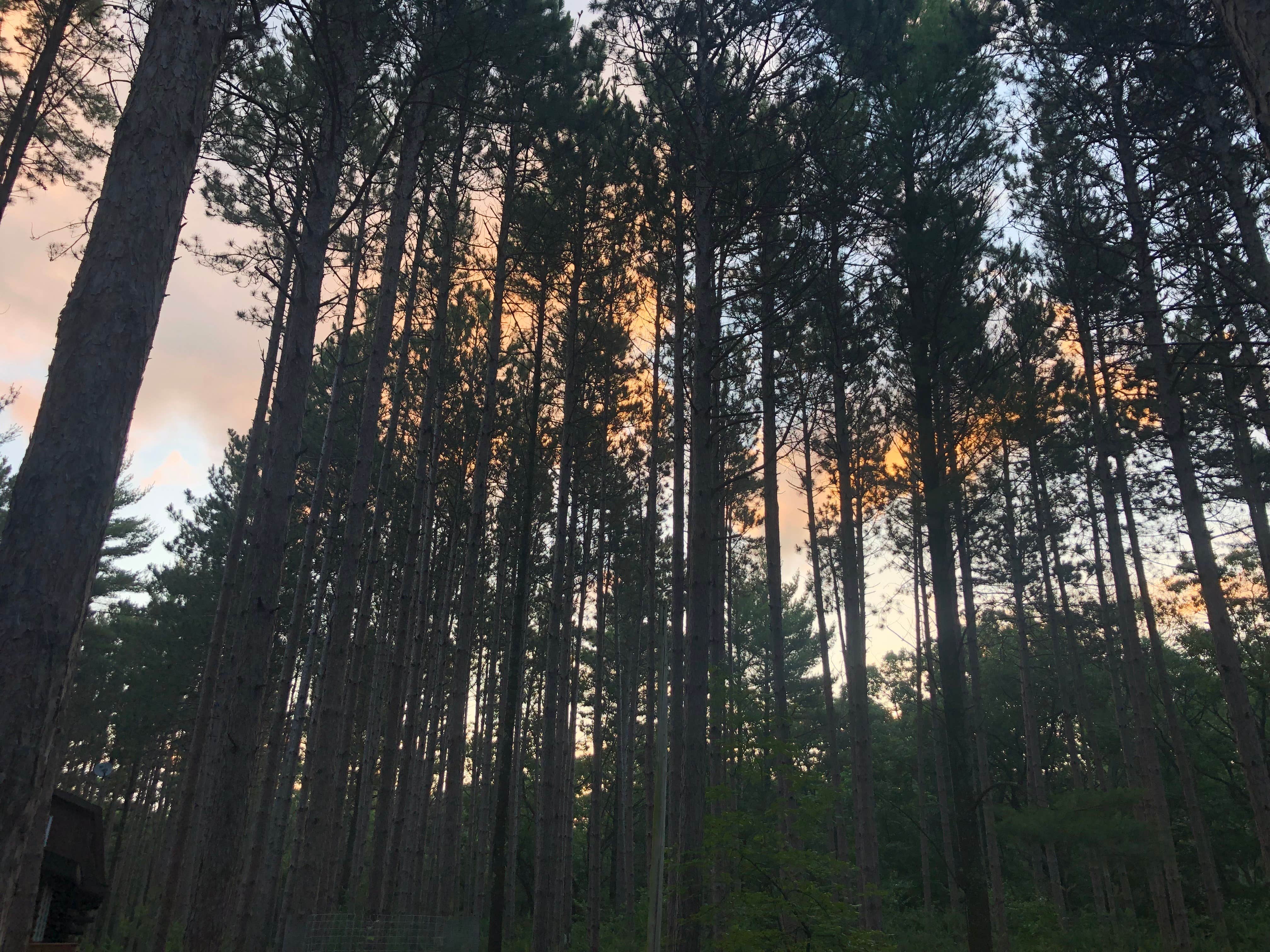 Camper-submitted photo at Last Creek Kayak Site near Tofte, MN