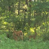 Review photo of Last Creek Kayak Site by Lesley R., December 20, 2022