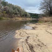 Review photo of Dinosaur Valley State Park — Dinosaur Valley State Park by Shelly S., December 20, 2022