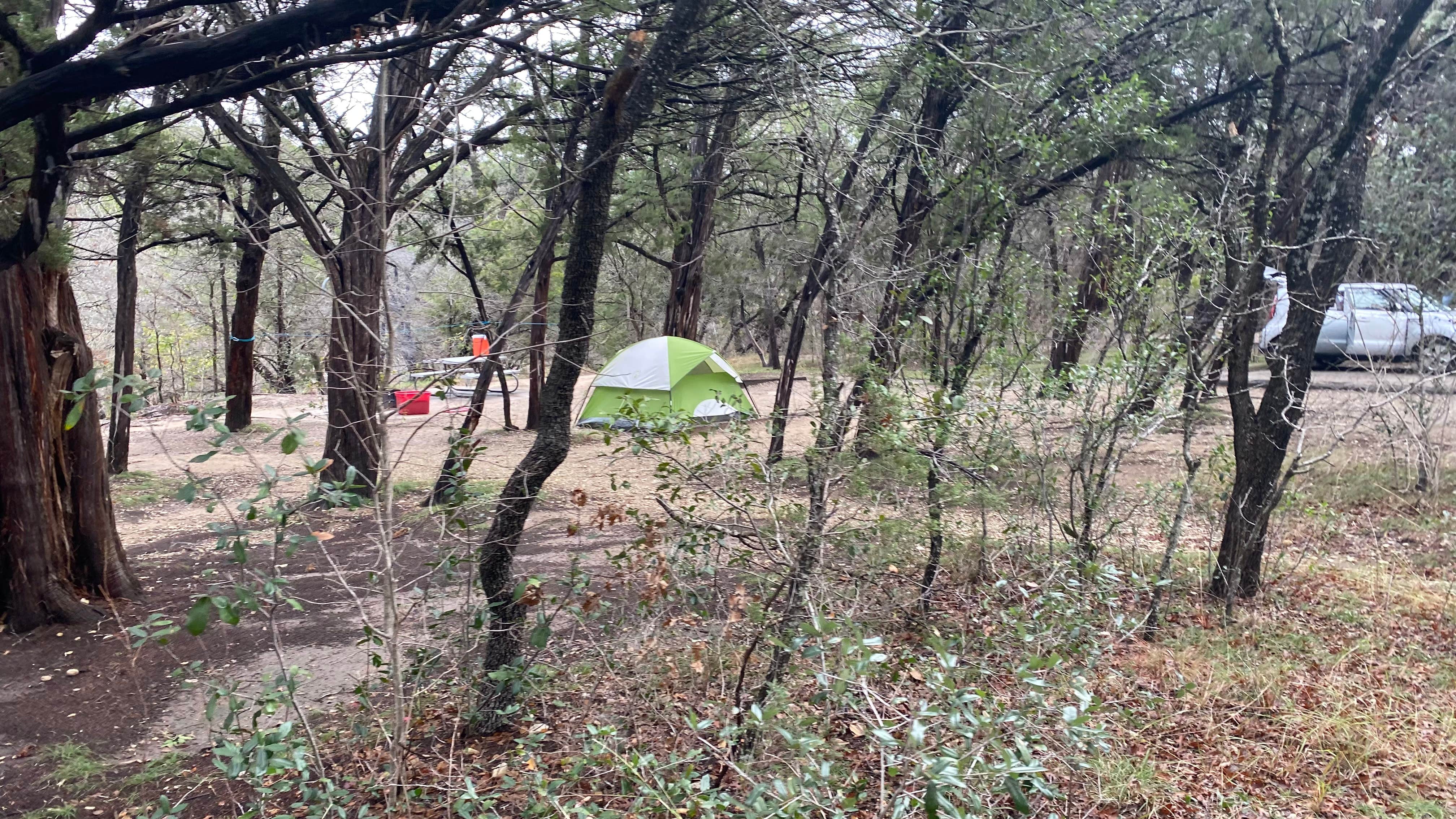 Shelly S.'s photo at Dinosaur Valley State Park Campground near Granbury, TX