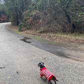 Review photo of Dinosaur Valley State Park — Dinosaur Valley State Park by Shelly S., December 20, 2022