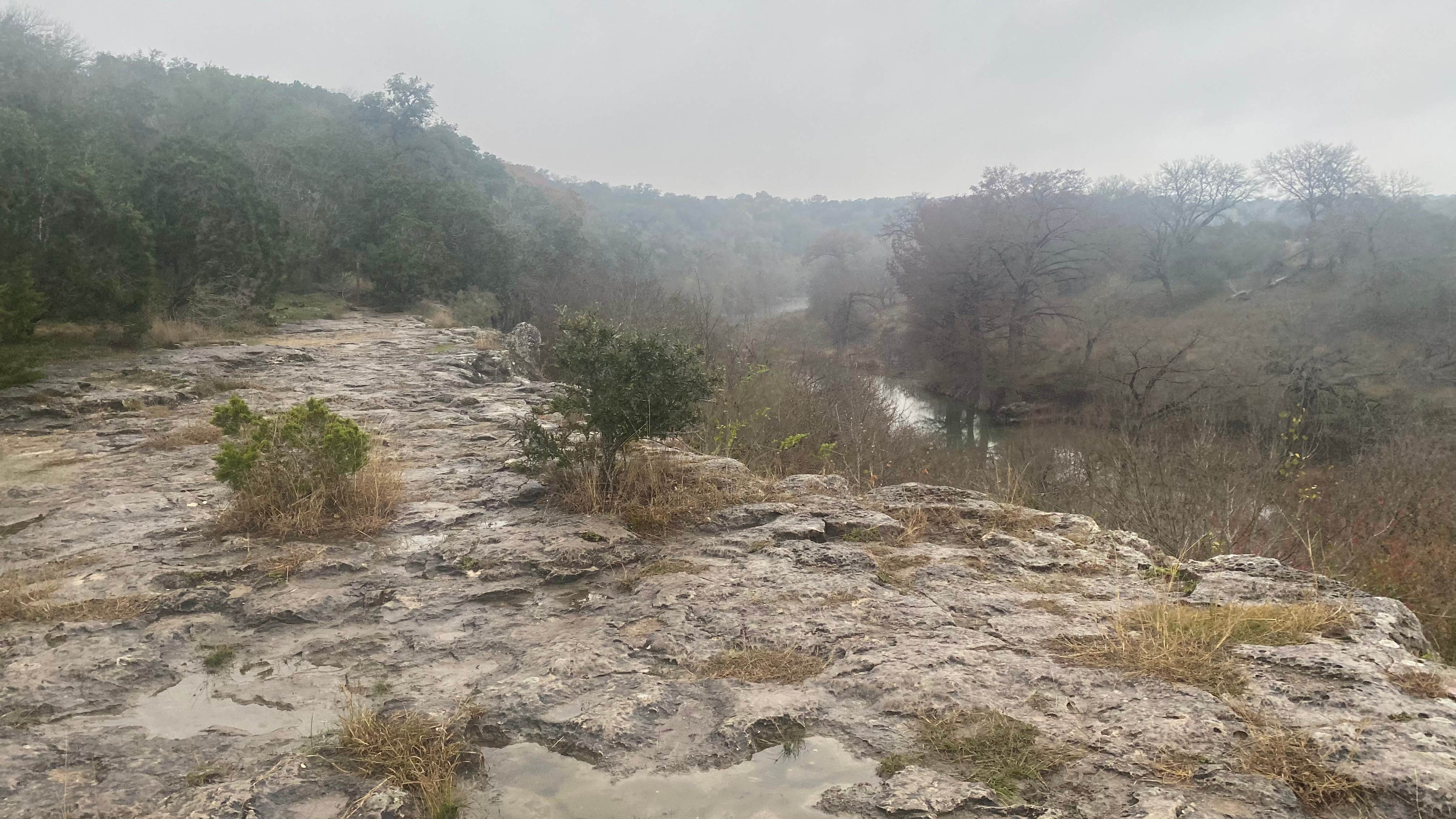 Camper-submitted photo at Cedar Sage Camping Area — Guadalupe River State Park near Spring Branch, TX