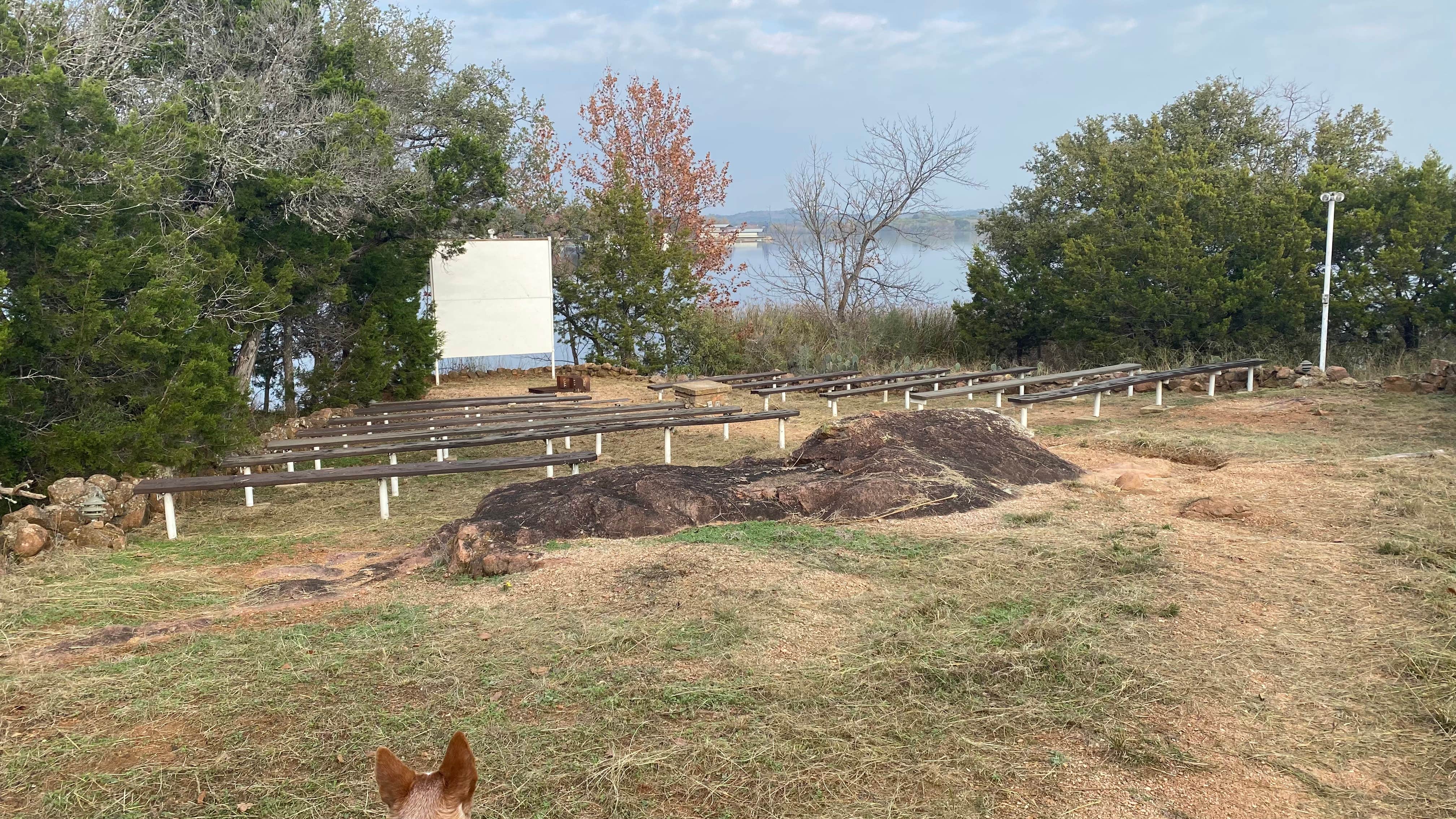 Shelly S.'s photo of camping with pets at Inks Lake State Park Campground in Texas