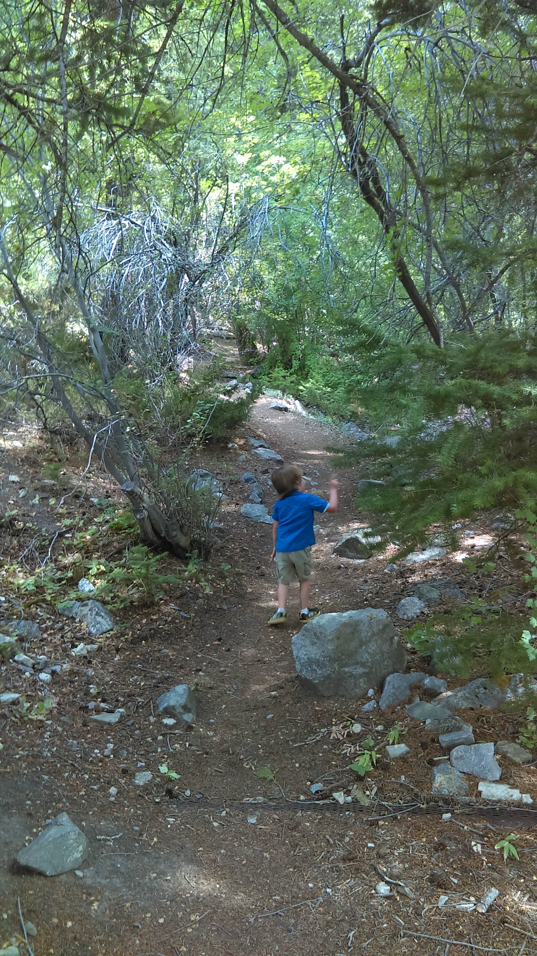 Camper submitted image from Five Springs Falls Campground - 4