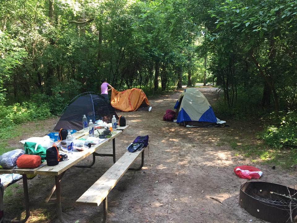 Joyce B.'s photo at Pinewoods & Group Camp — Kettle Moraine State Forest - Southern Unit near Fort Atkinson, WI