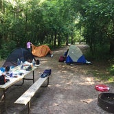 Review photo of Pinewoods Campground — Kettle Moraine State Forest-Southern Unit by Joyce B., September 24, 2018