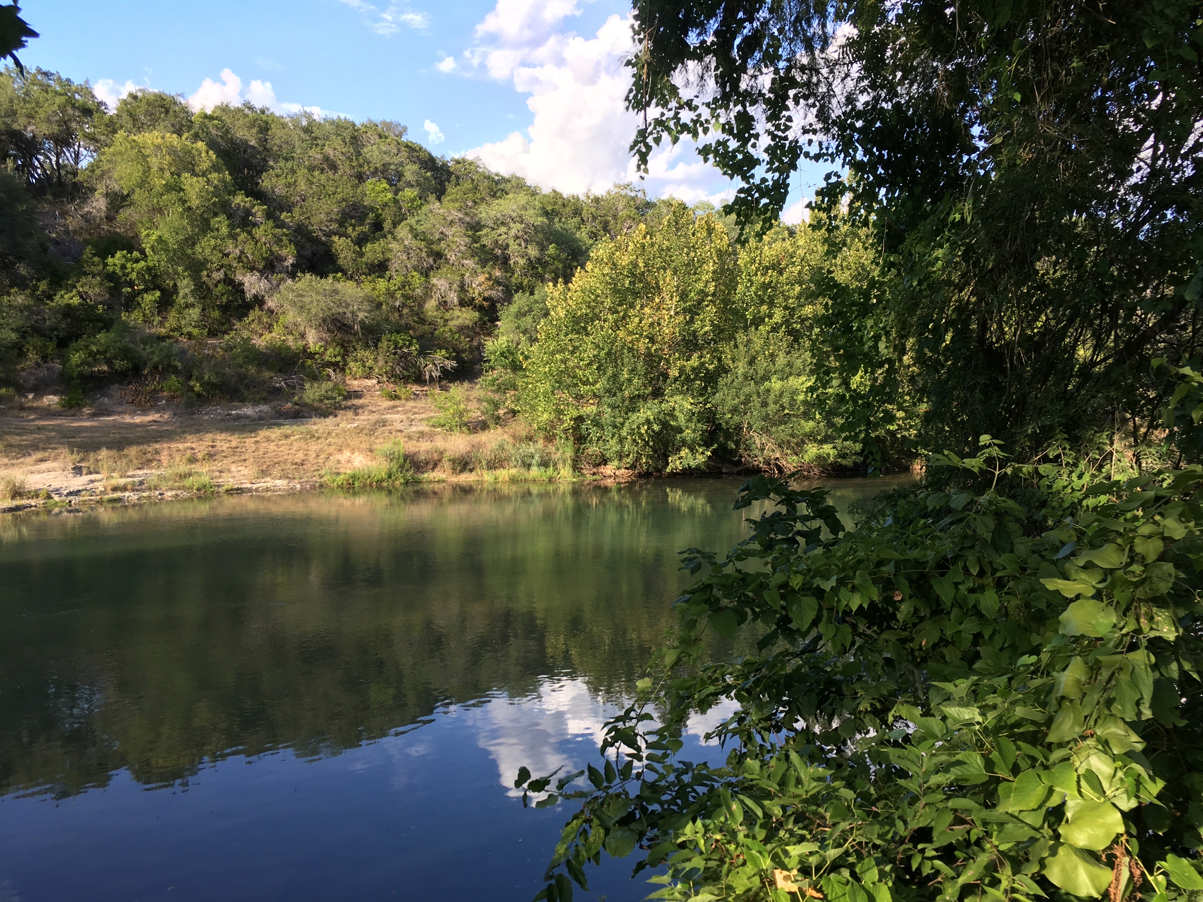 Riverview of the Guadalupe River