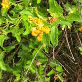 Review photo of Inks Lake State Park Campground by Donna G., September 24, 2018