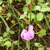 Review photo of Inks Lake State Park Campground by Donna G., September 24, 2018