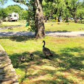 Review photo of Inks Lake State Park Campground by Donna G., September 24, 2018