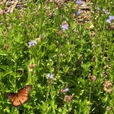 Review photo of Inks Lake State Park Campground by Donna G., September 24, 2018