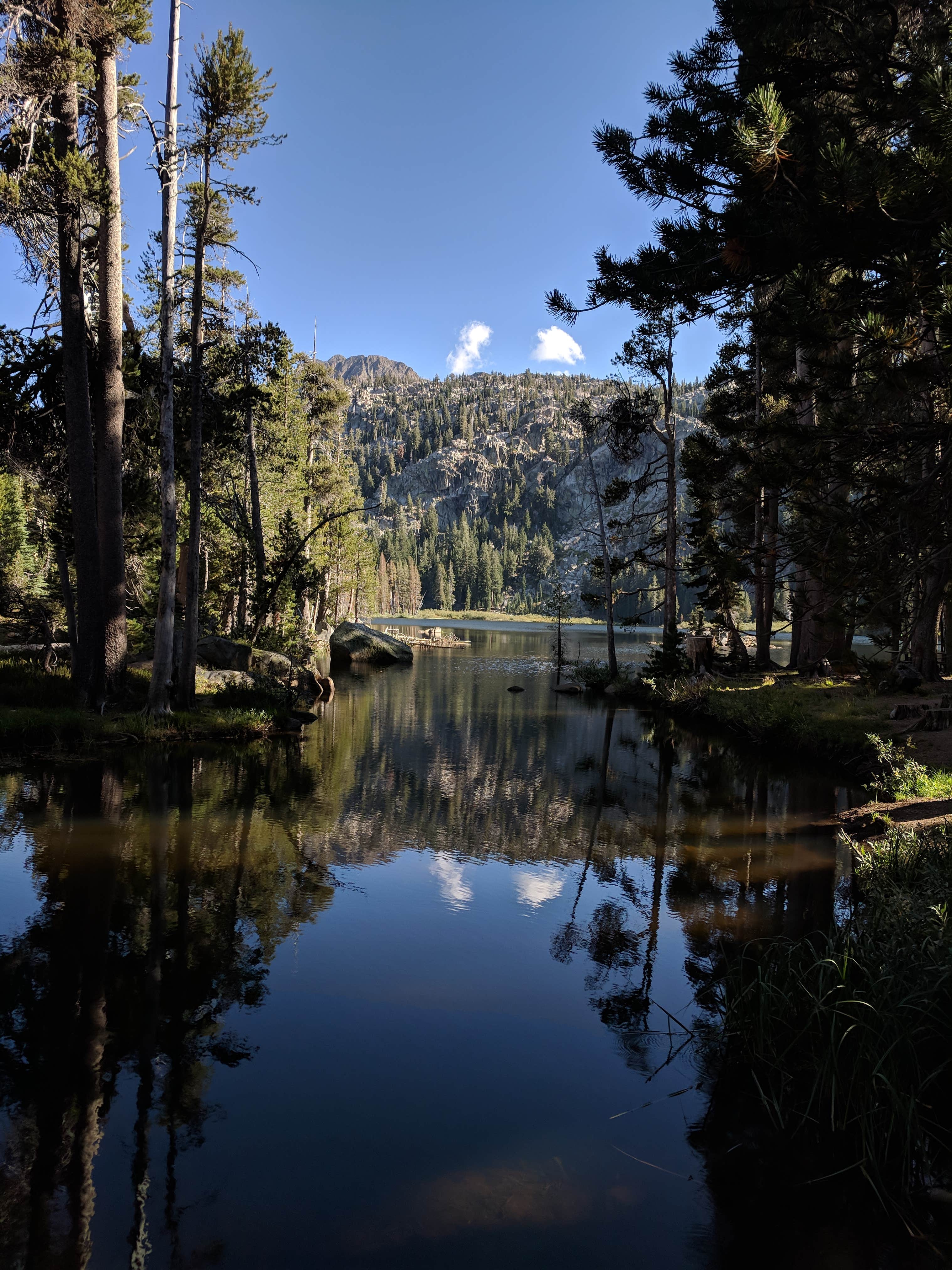 Camper-submitted photo at Woods Lake Campground near Placerville, CO