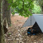 Review photo of Martin Dies, Jr. State Park Campground by Scott B., September 24, 2018