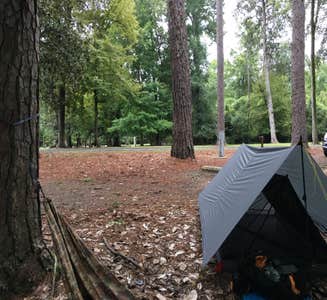 Camper-submitted photo from Double Lake NF Campground