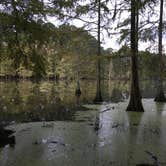 Review photo of Martin Dies, Jr. State Park Campground by Scott B., September 24, 2018