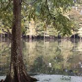 Review photo of Martin Dies, Jr. State Park Campground by Scott B., September 24, 2018
