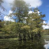 Review photo of Martin Dies, Jr. State Park Campground by Scott B., September 24, 2018