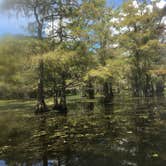 Review photo of Martin Dies, Jr. State Park Campground by Scott B., September 24, 2018