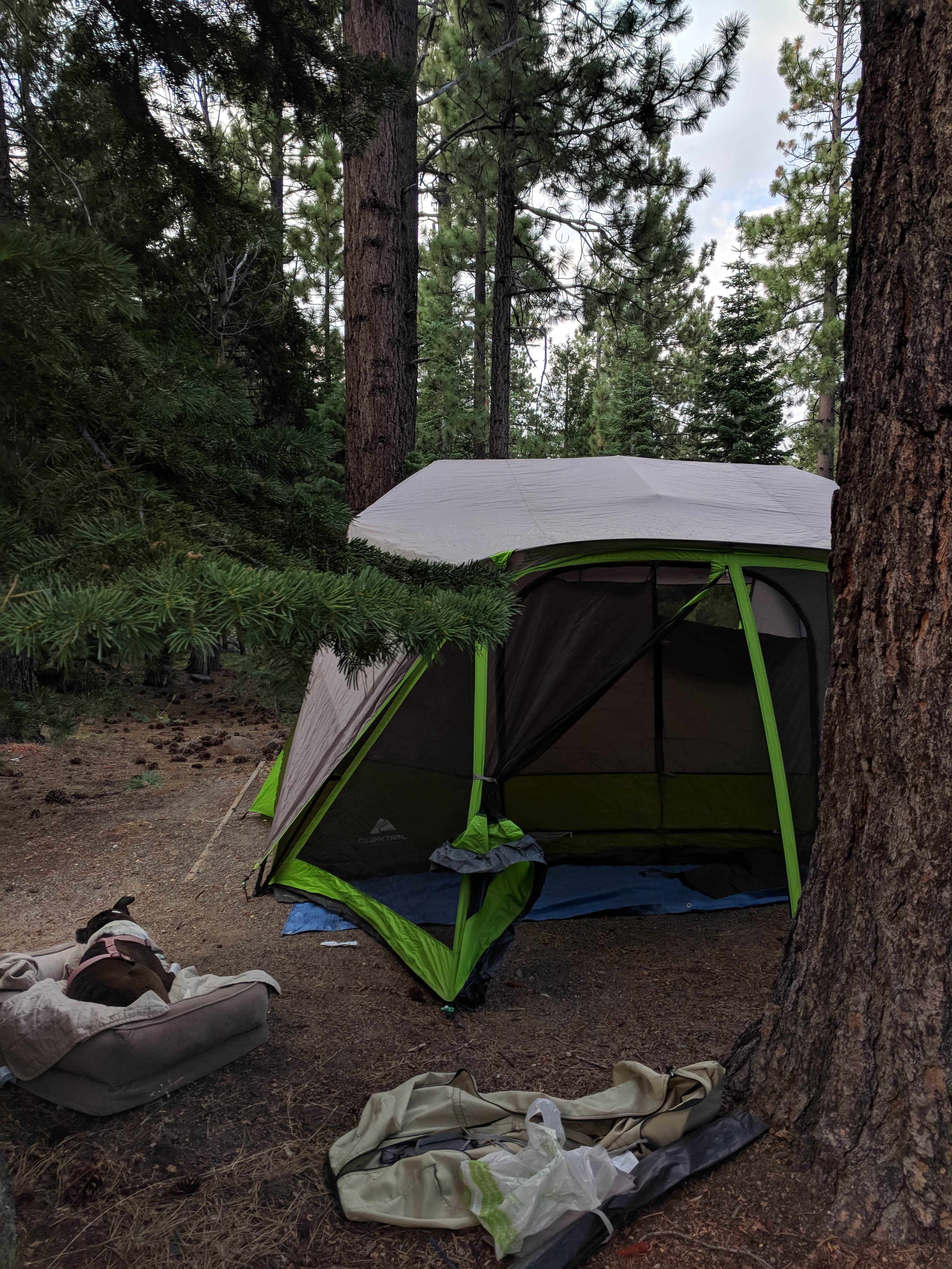 Kade H.'s photo at Lookout Campground near Verdi, NV