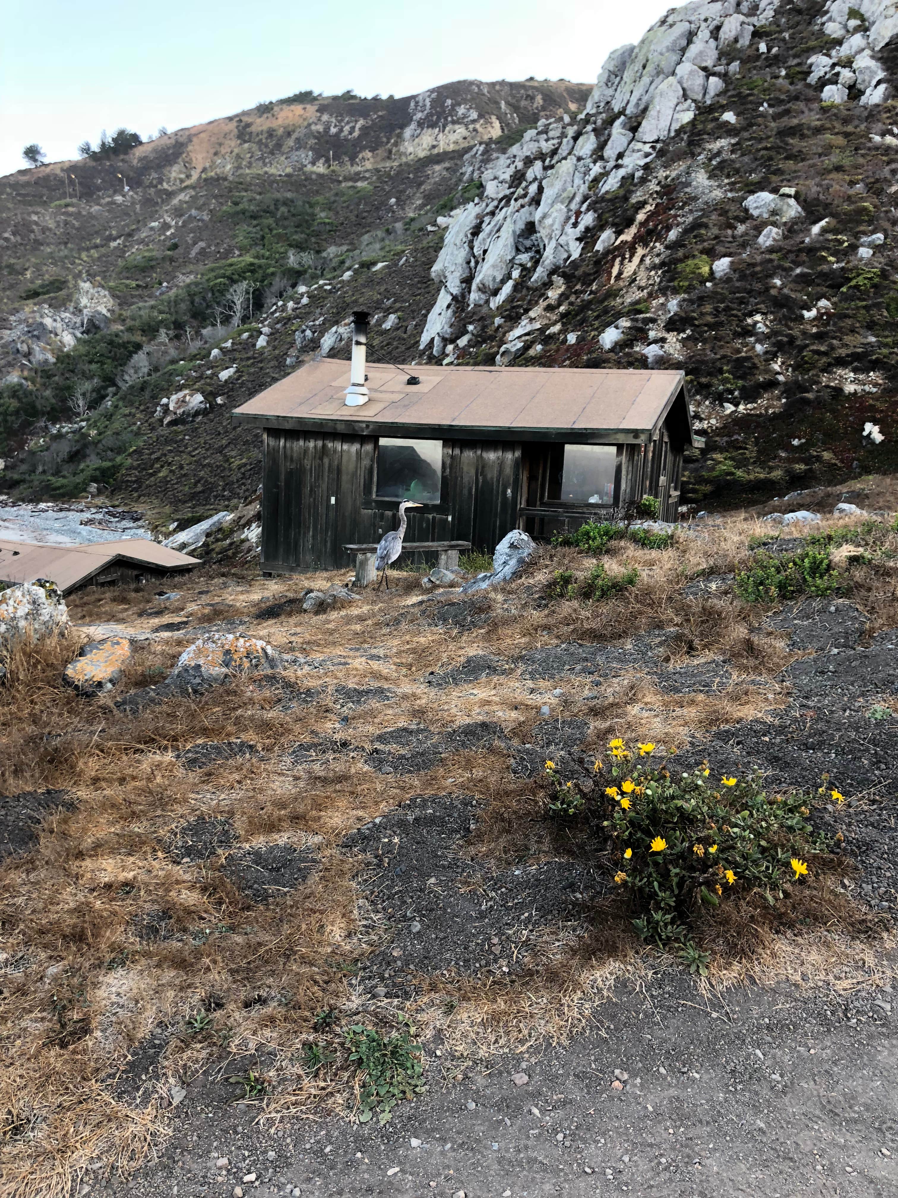 Camper-submitted photo at Steep Ravine Campground — Mount Tamalpais State Park near Larkspur, CA