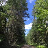 Review photo of Webster Lake Campground by Janet R., September 25, 2018