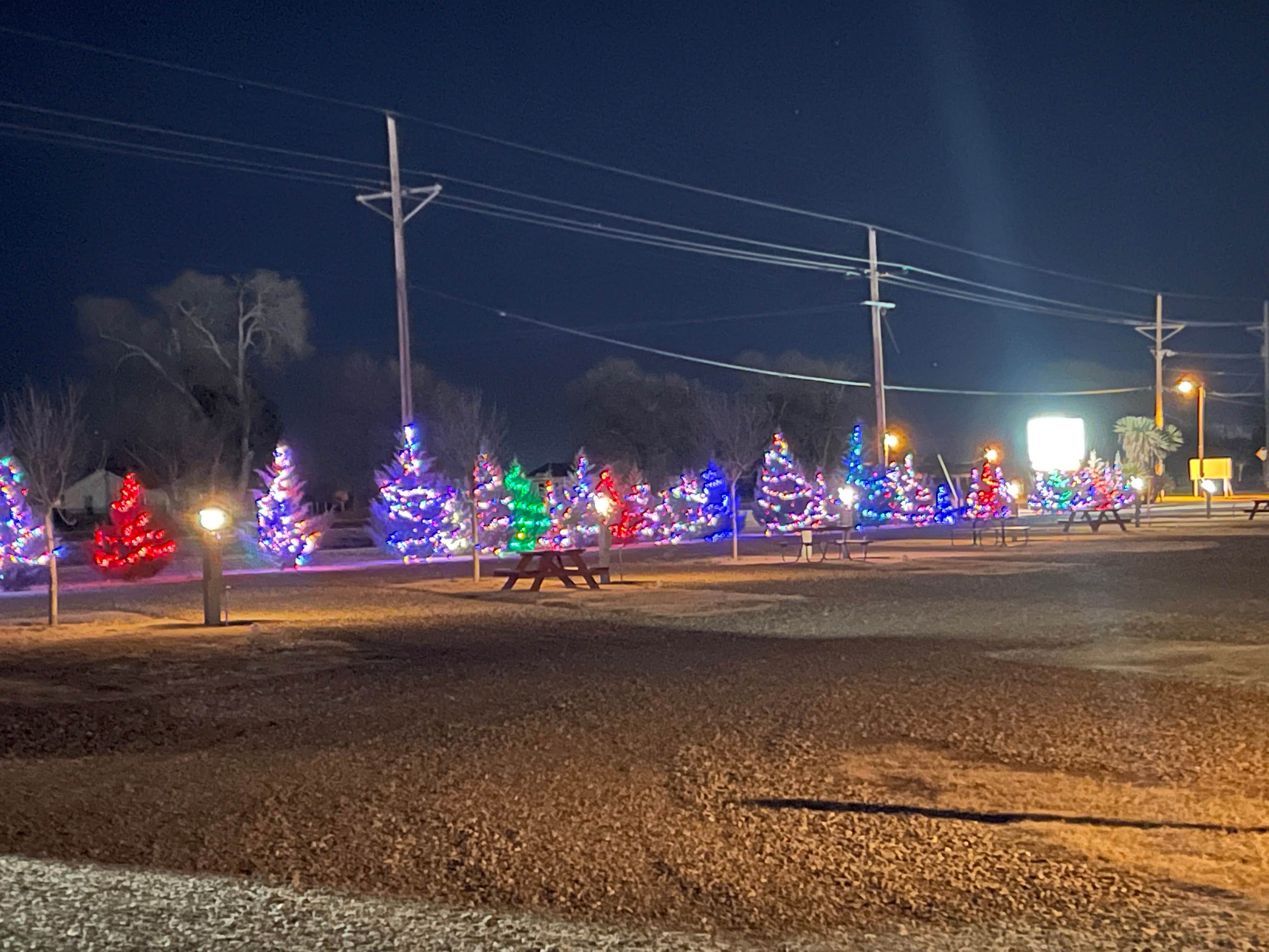 Camper-submitted photo at Travelers World Campground near Clovis, NM