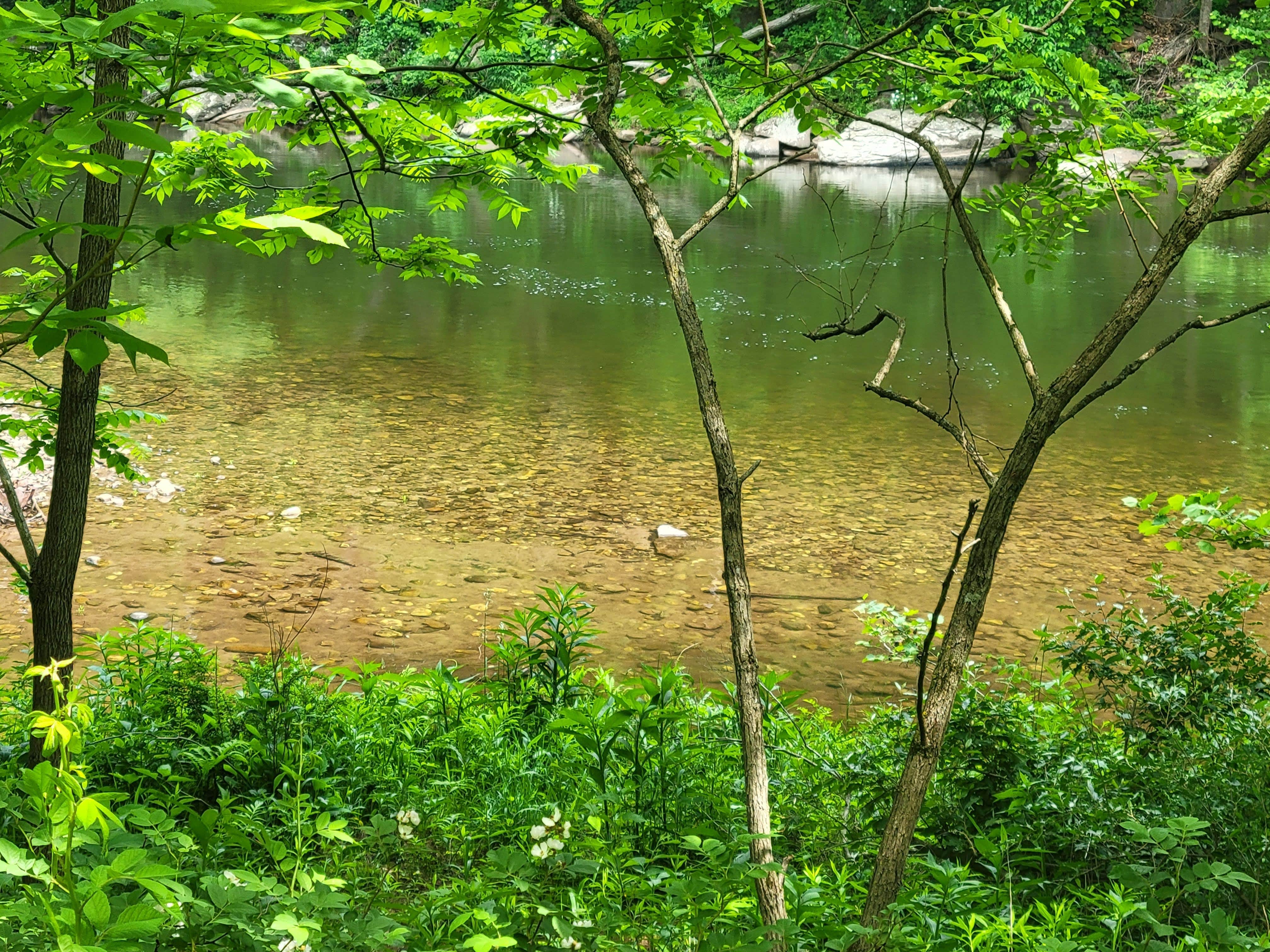 Camper-submitted photo at Brooklyn Heights Riverfront Campground near Seneca Rocks, WV