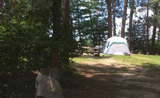 Janet R.'s photo at Webster Lake Campground near Chippewa National Forest