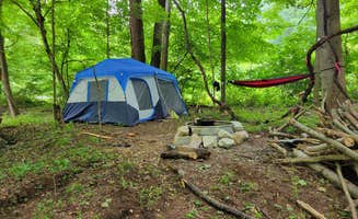 Vince L.'s photo at Brooklyn Heights Riverfront Campground near Grafton, WV