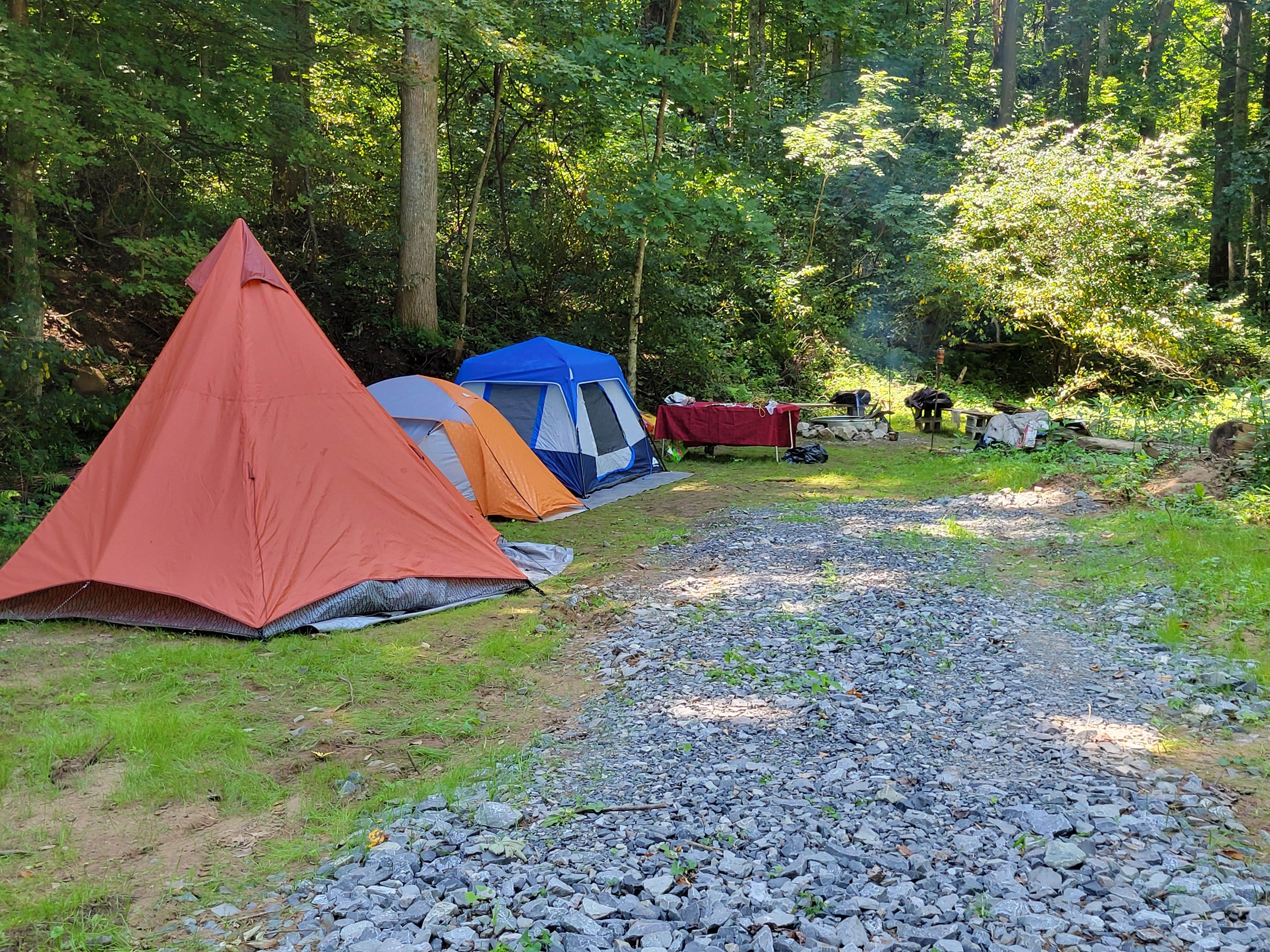 Vince L.'s photo at Brooklyn Heights Riverfront Campground near Red Creek, WV