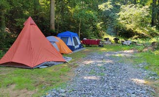 Vince L.'s photo at Brooklyn Heights Riverfront Campground near Thomas, WV
