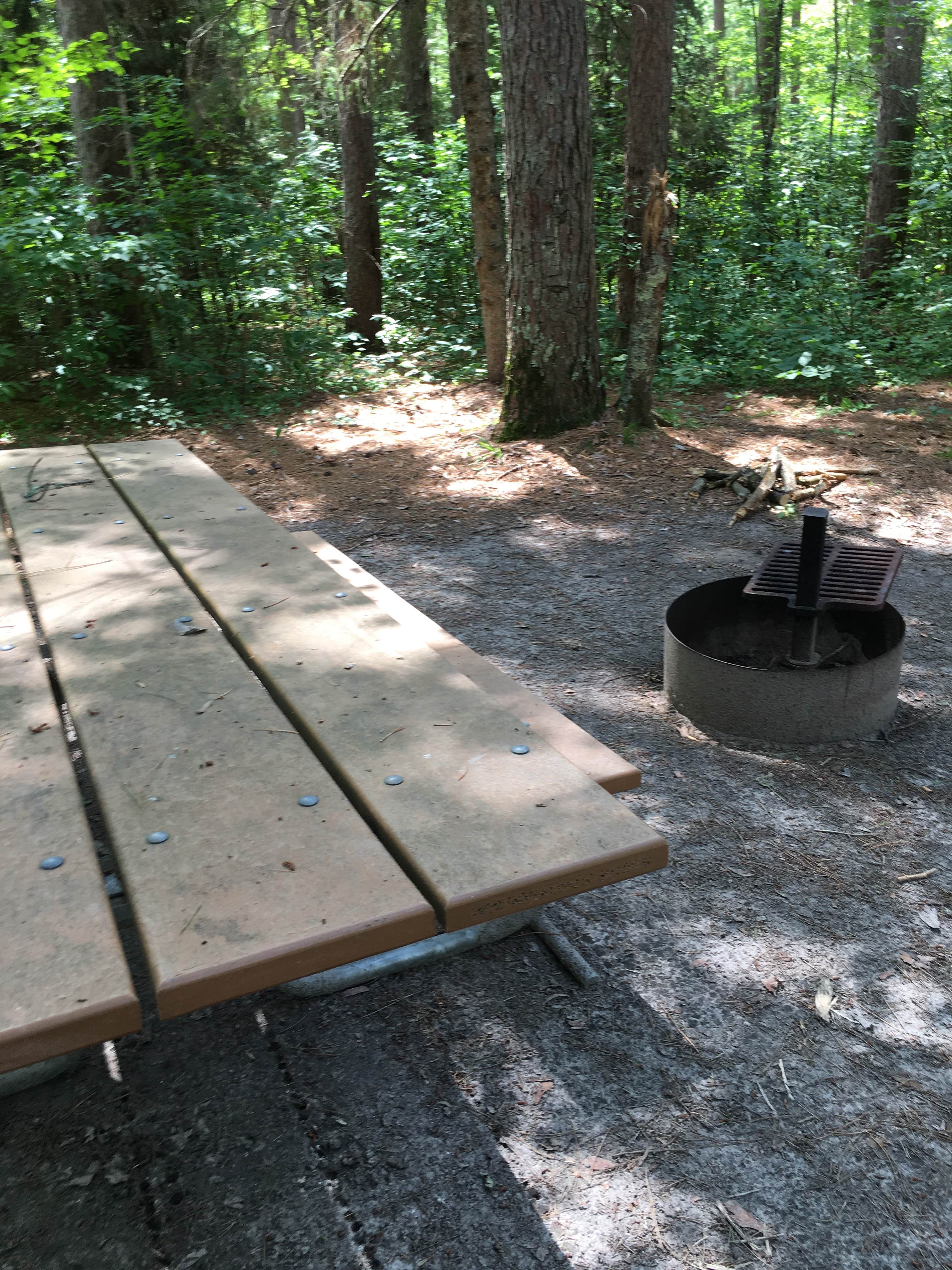 Camper-submitted photo at Webster Lake Campground near Chippewa National Forest