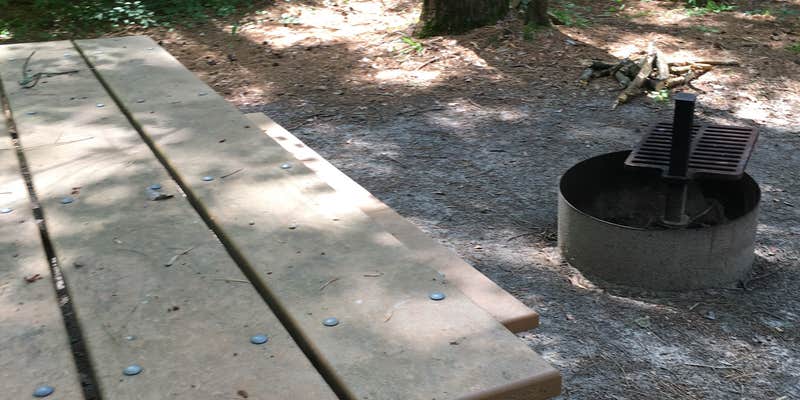 Camper submitted image from Webster Lake Campground