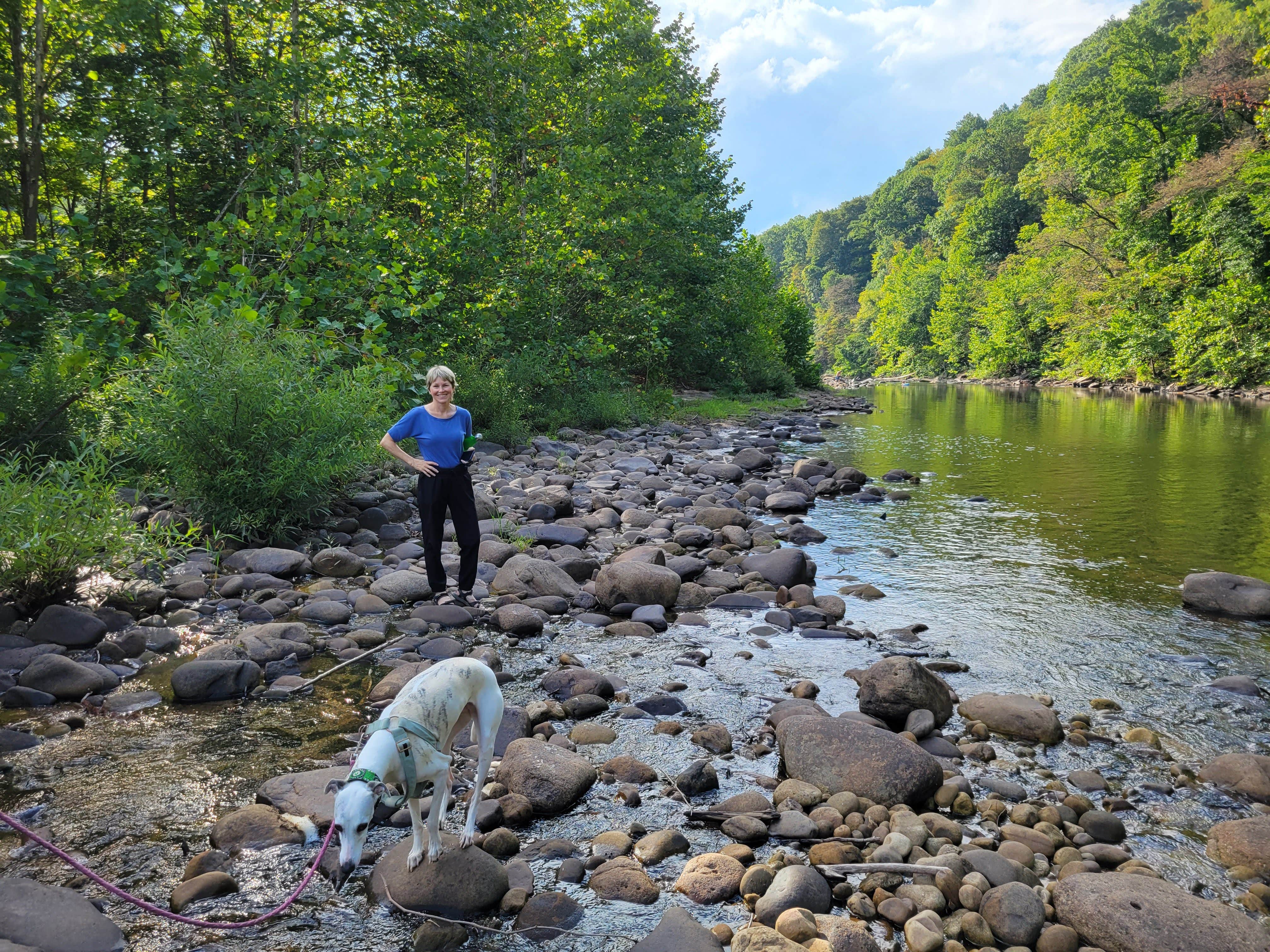 Vince L.'s photo of camping with pets at Brooklyn Heights Riverfront Campground near Seneca Rocks, WV