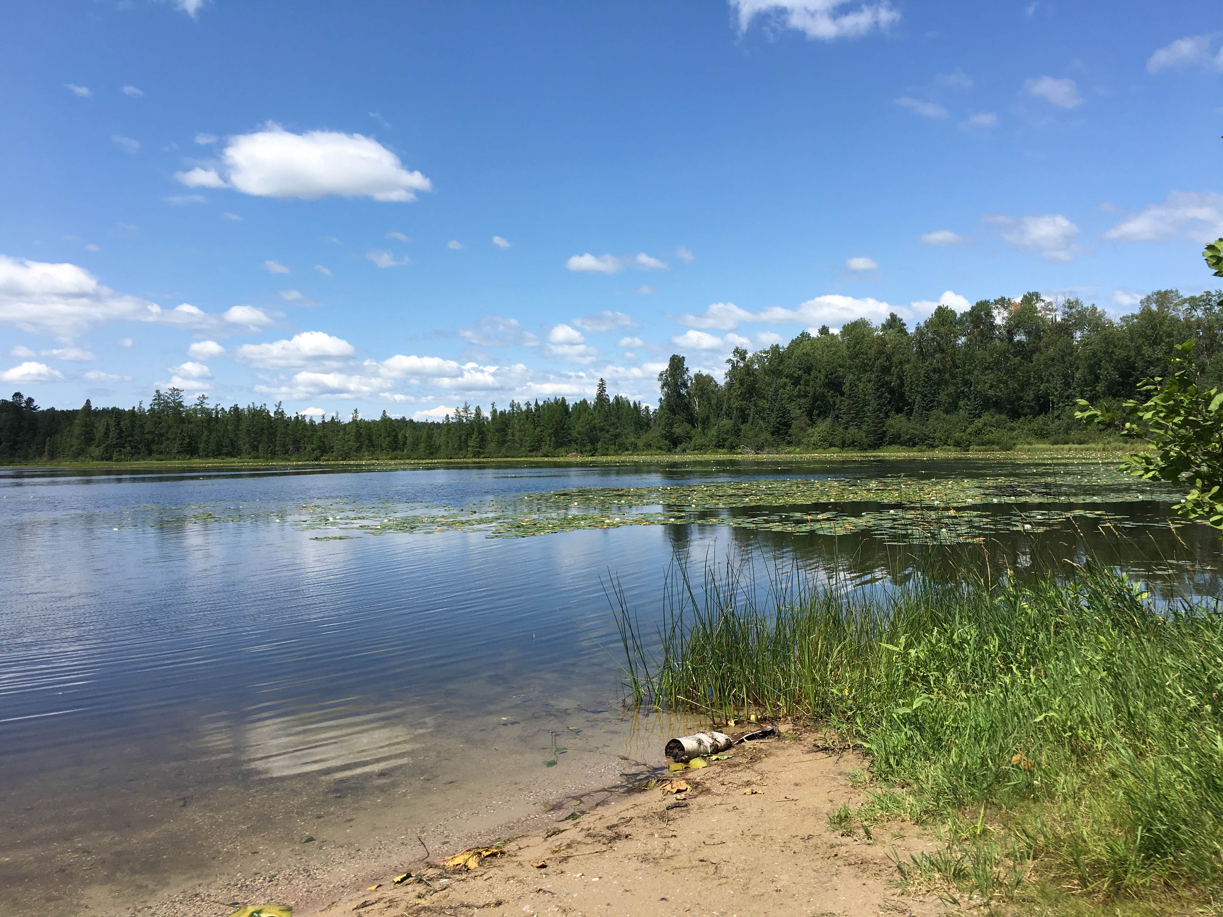 Camper submitted image from Webster Lake Campground - 5