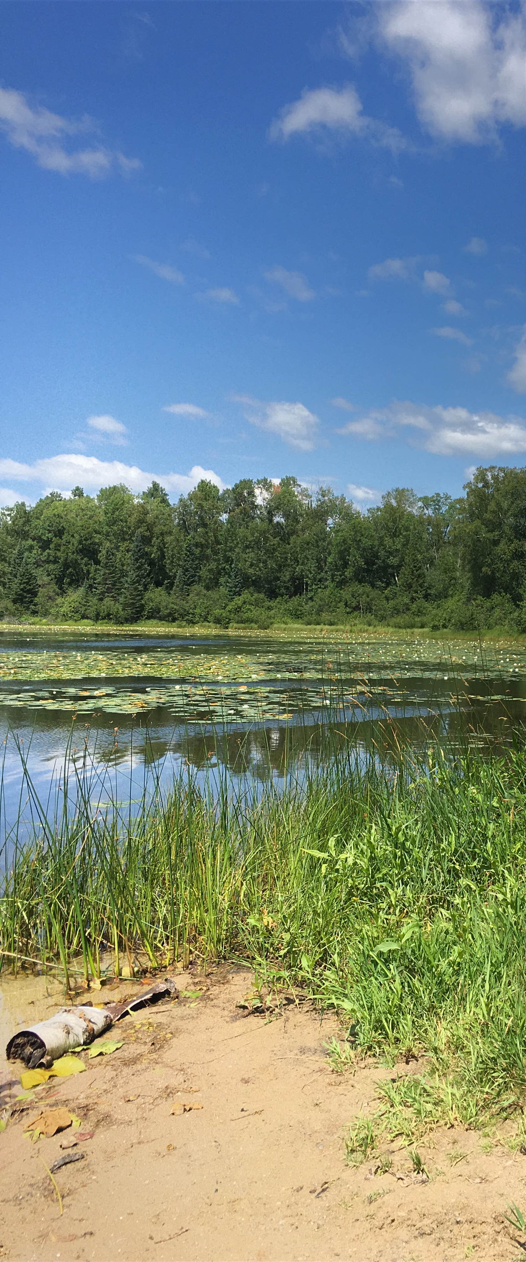 Camper-submitted photo at Webster Lake Campground near Chippewa National Forest
