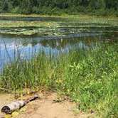 Review photo of Webster Lake Campground by Janet R., September 25, 2018