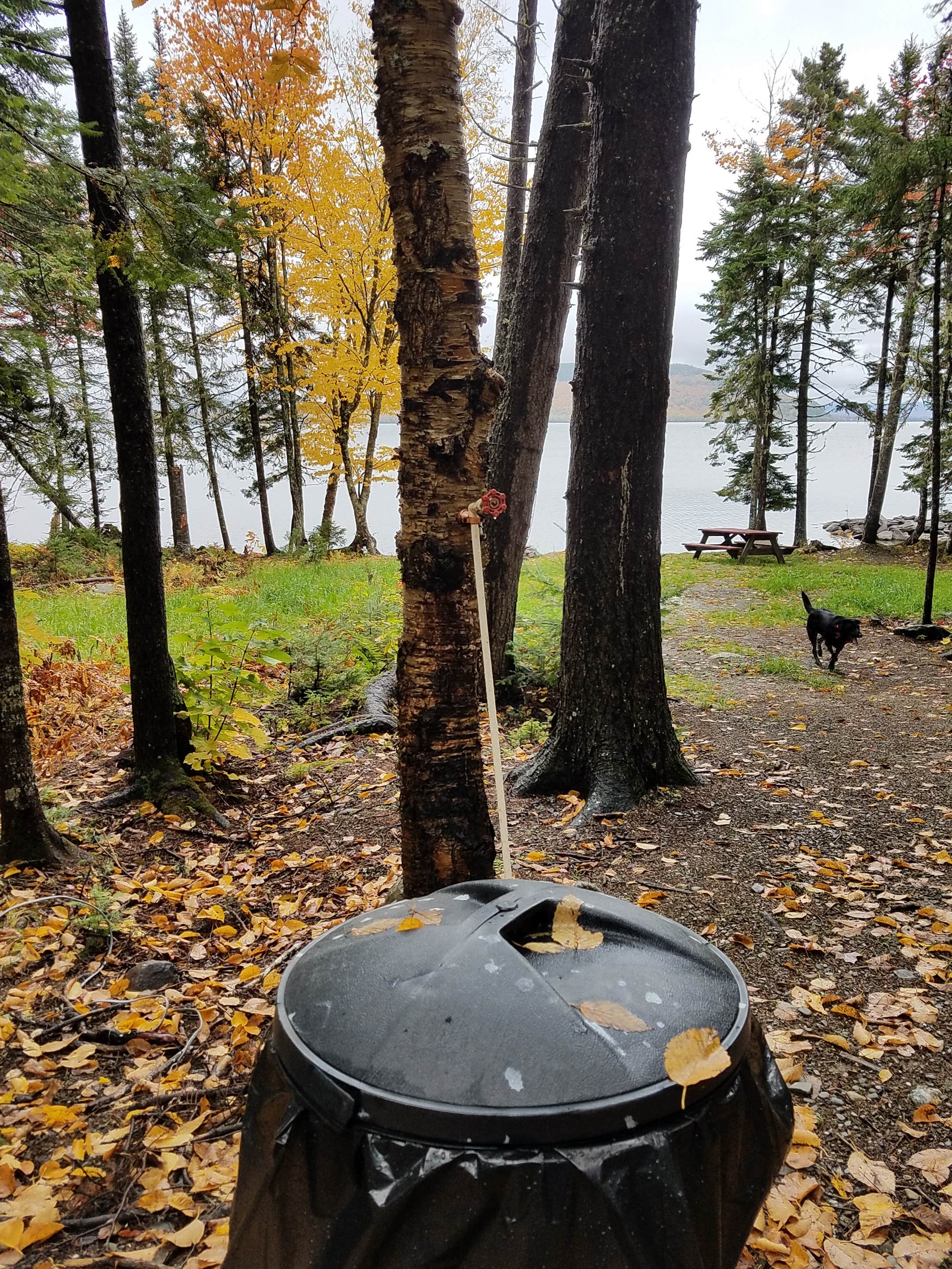 Camper-submitted photo at The Birches Resort near Caratunk, ME