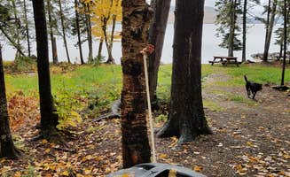 Nancy W.'s photo of camping with pets at The Birches Resort near Greenville Junction, ME
