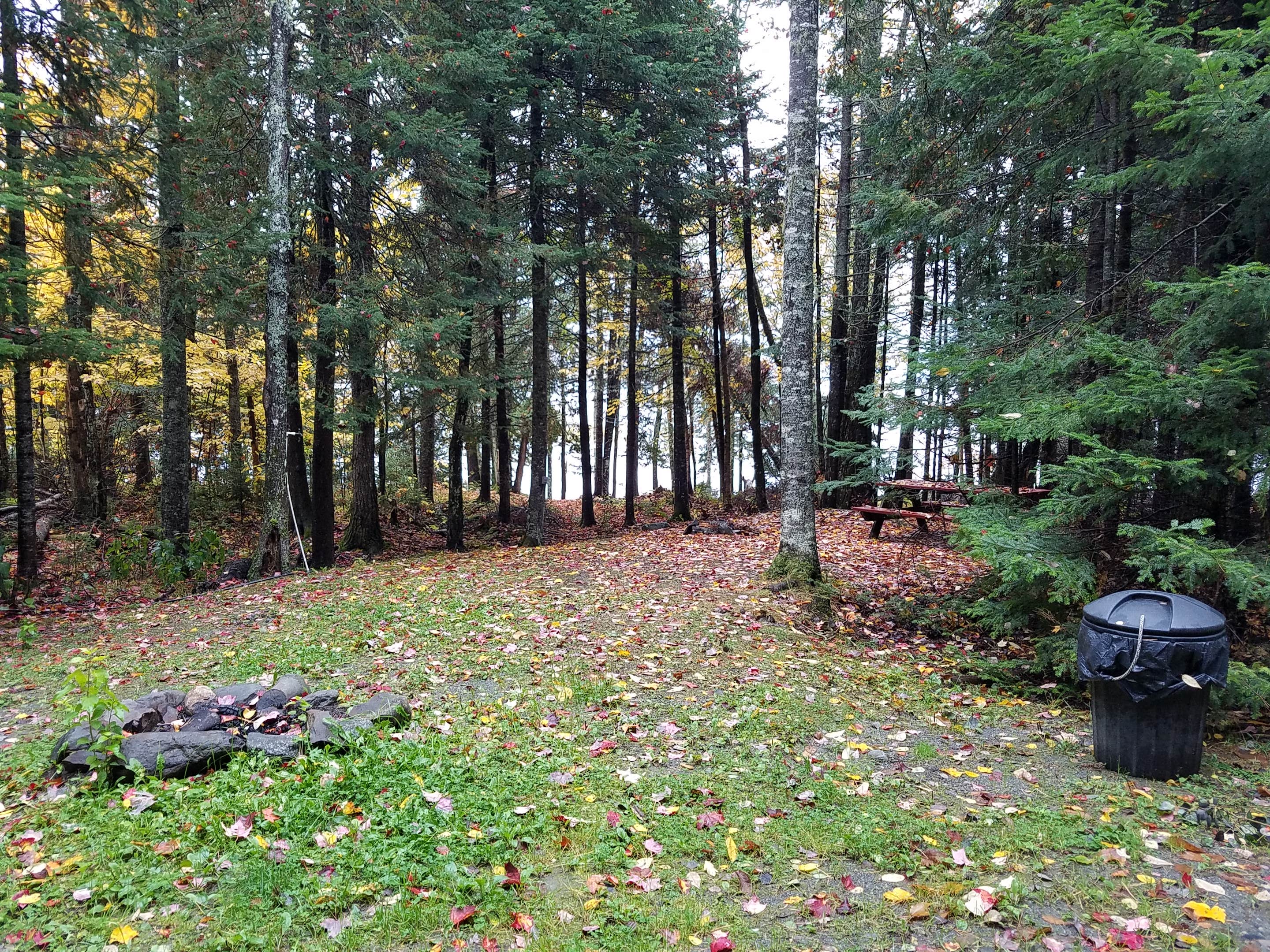 Camper-submitted photo at The Birches Resort near Caratunk, ME