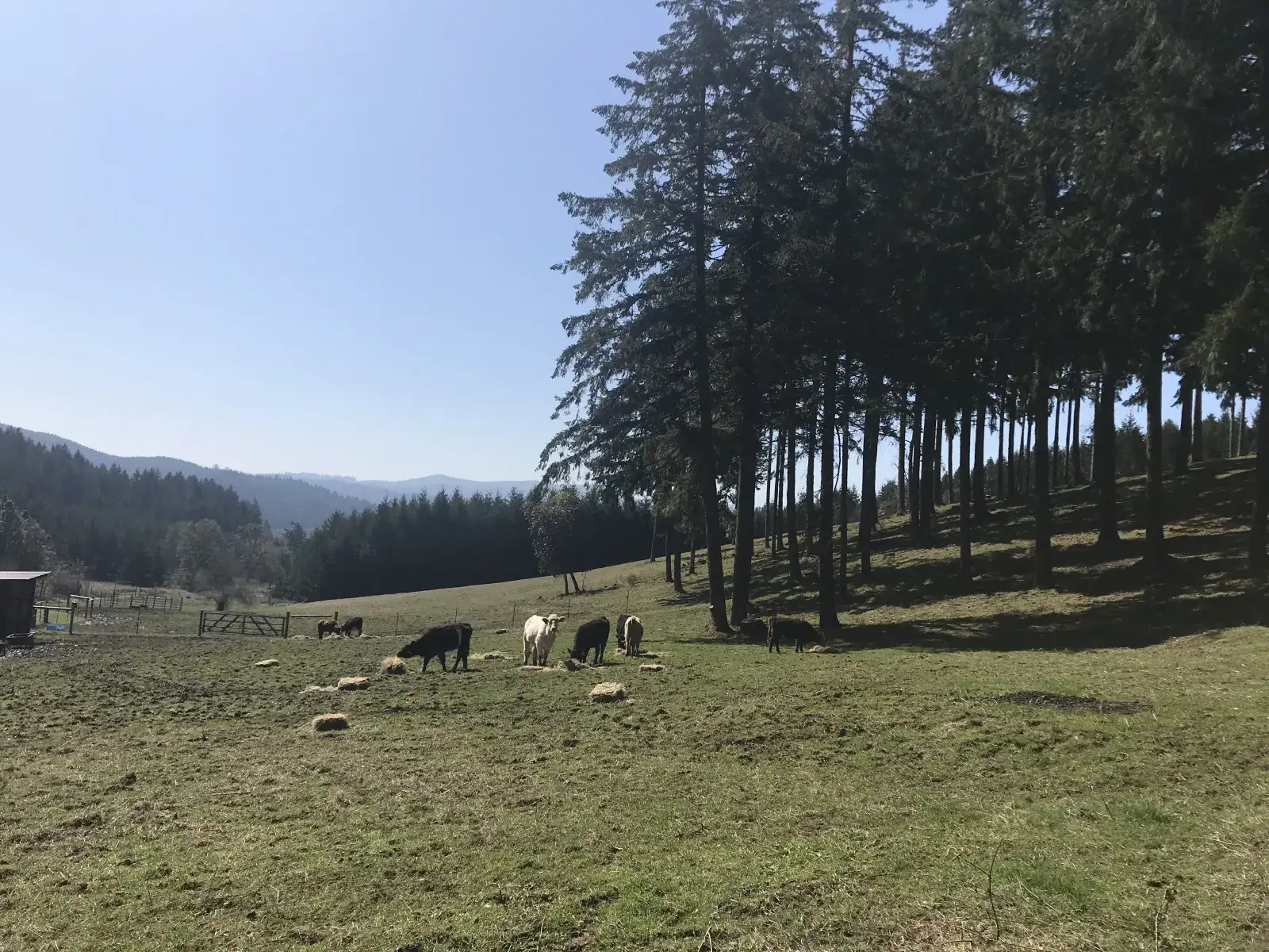 Camper-submitted photo at Pristine Ranch near Lorane, OR