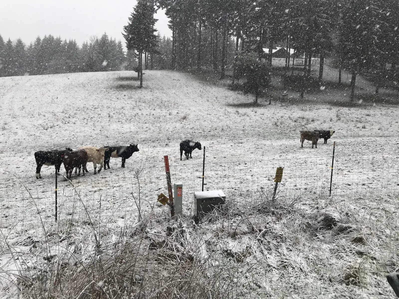 Camper-submitted photo at Pristine Ranch near Lorane, OR