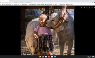 Tom M.'s photo of camping with pets at Baileys on Palomar near Cleveland National Forest