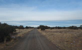 Noah E.'s photo of a dispersed camping area at Sante Fe National Forest BLM-Road 62 Dispersed near Las Vegas, NM