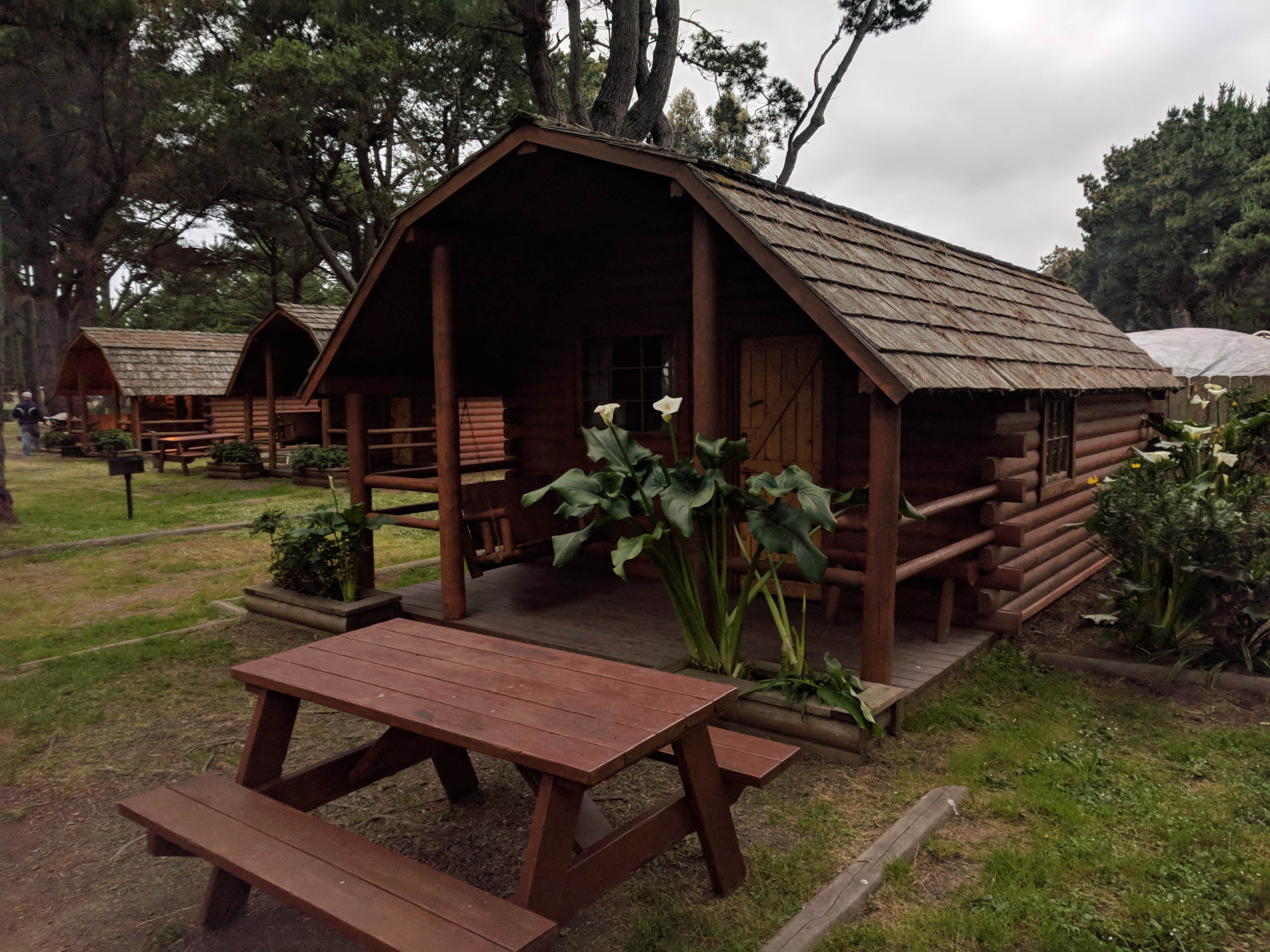 Camper-submitted photo at Manchester Beach / Mendocino Coast KOA near Gualala, CA