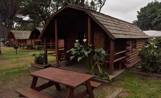 Kade H.'s photo of glamping accommodations at Manchester Beach / Mendocino Coast KOA near Little River, CA