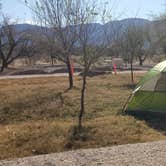 Review photo of Cottonwood Campground — Big Bend National Park by Rick G., December 21, 2022