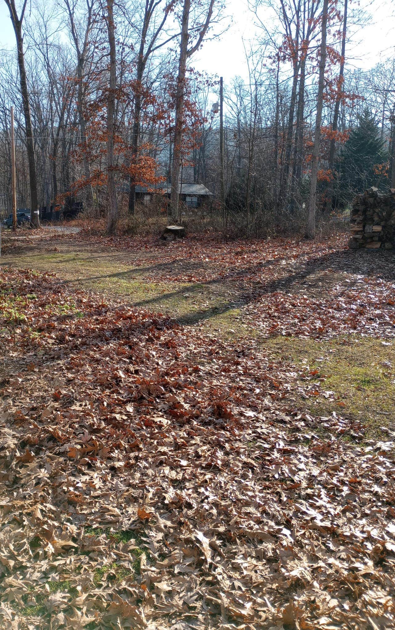 Camper-submitted photo at Shannondale Gate Harpers Ferry near Rippon, WV