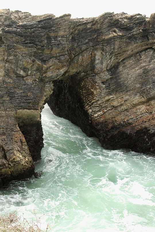 Camper-submitted photo at Manchester Beach / Mendocino Coast KOA near Gualala, CA